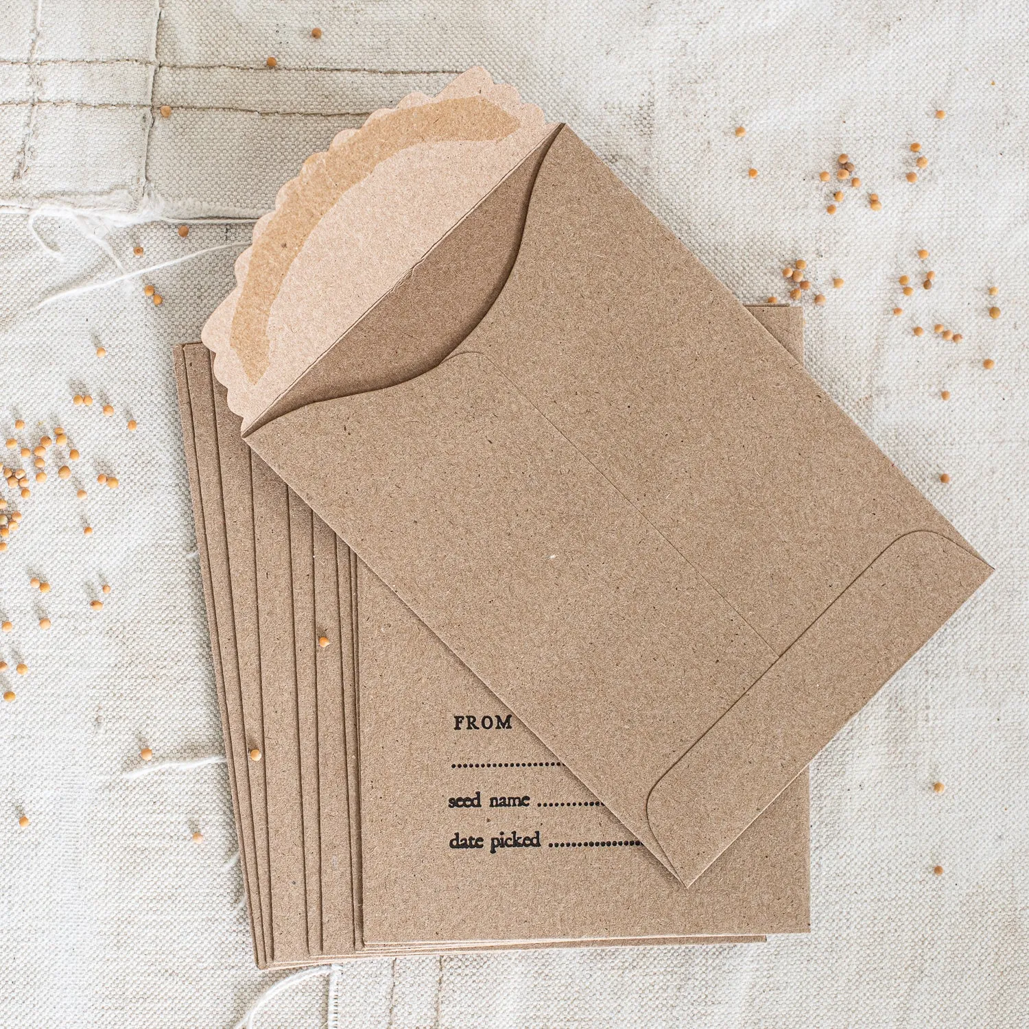 Austin Press - Seed Sharing Envelopes