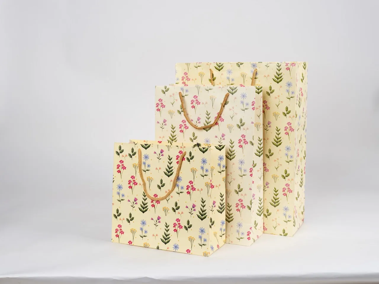 Paper Bags (Pack of 25)