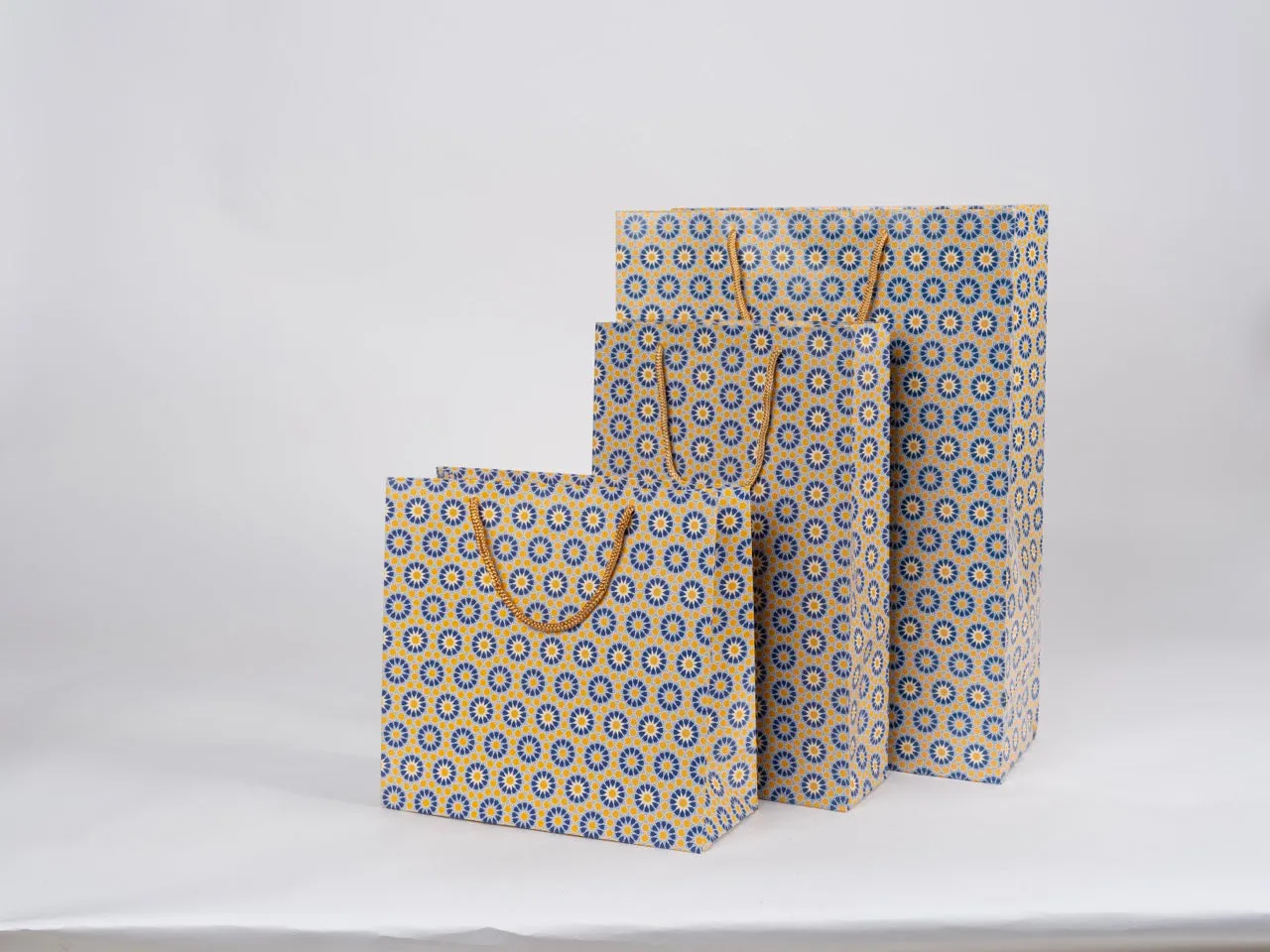 Paper Bags (Pack of 25)